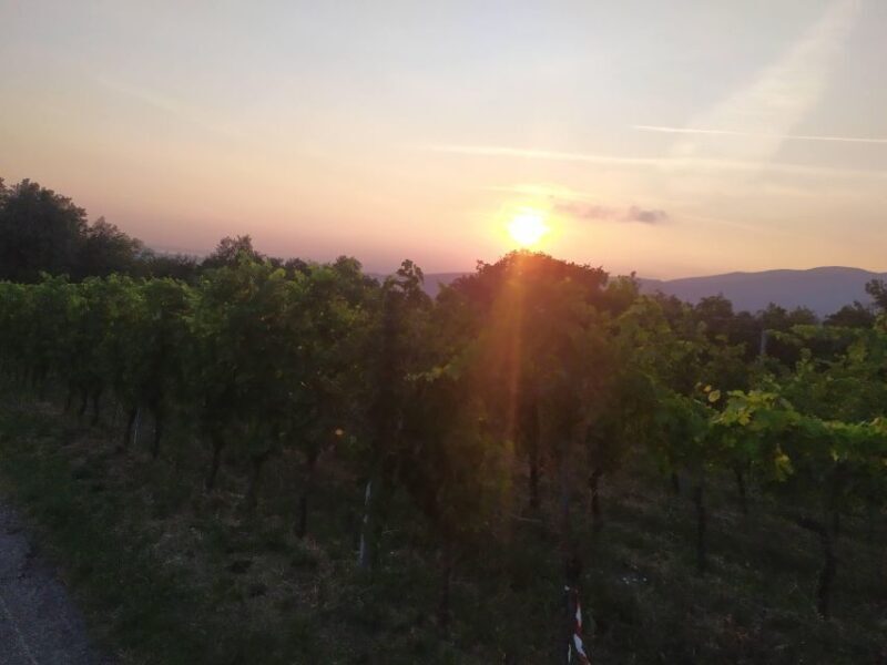 Verona Best Trekking Best View - Key Points