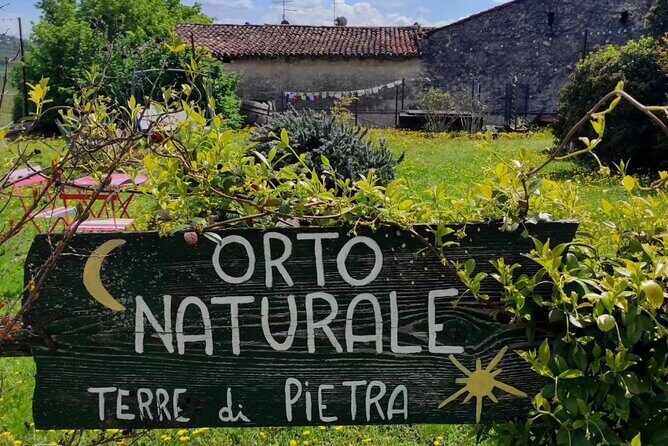 Verona - Cellar Tour and Tasting of NATURAL WINES - Who Is This Tour Best For?