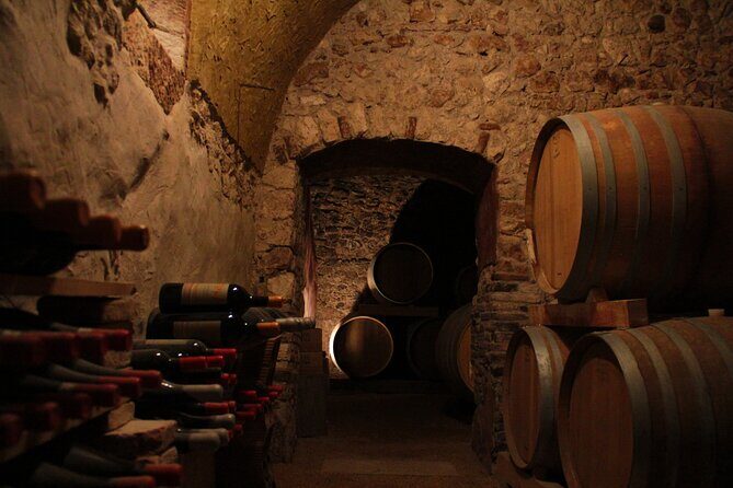Verona - Cellar Tour and Tasting of NATURAL WINES - The Experience in Detail
