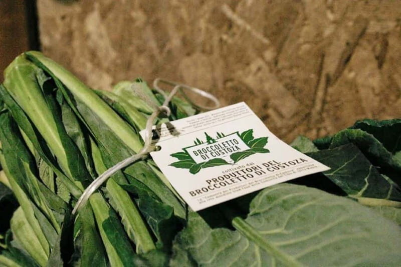 Verona: Slow Food Experience - Key Points