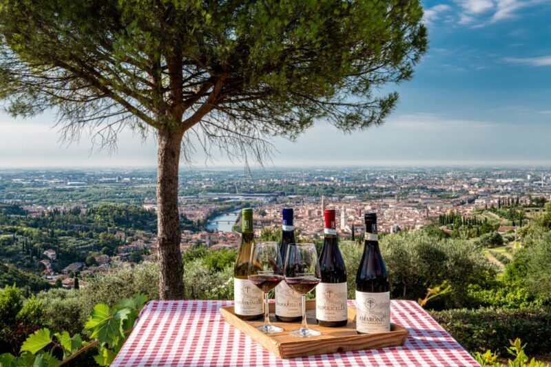 Verona: Wine Tasting with Snacks and Panoramic City Views - Authenticity and Value