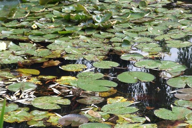 Versailles and Giverny Tour Hotel Pickup - FAQ