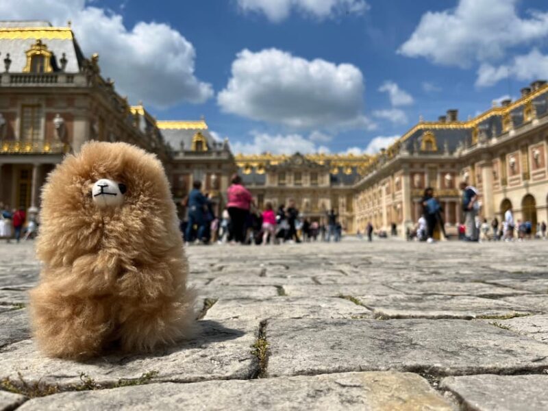 Versailles Half-day Private Tour by Luxury Car - Discover the Grandeur of Versailles with a Half-Day Private Tour by Luxury Car