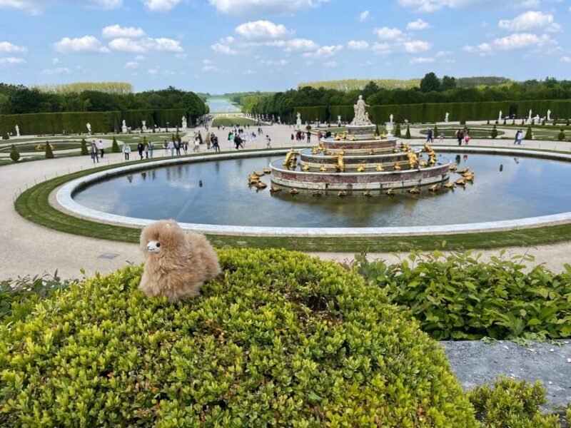 Versailles Half-day Private Tour by Luxury Car - Potential Drawbacks to Consider