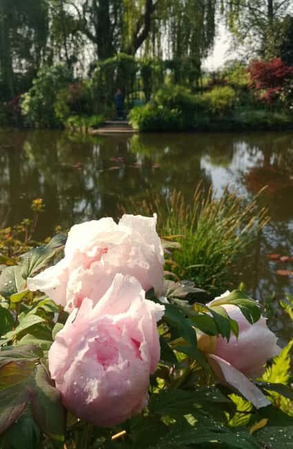Versailles Palace and Giverny Private guided tour from Paris - The Sum Up