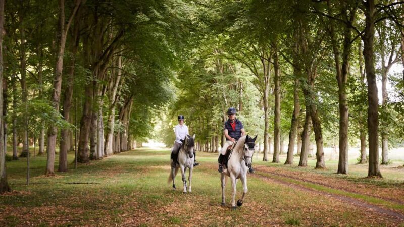 Versailles: Palace & Gardens Horseback Ride with Lunch - An Unforgettable Day in Versailles: A Horseback Journey into Royal Splendor