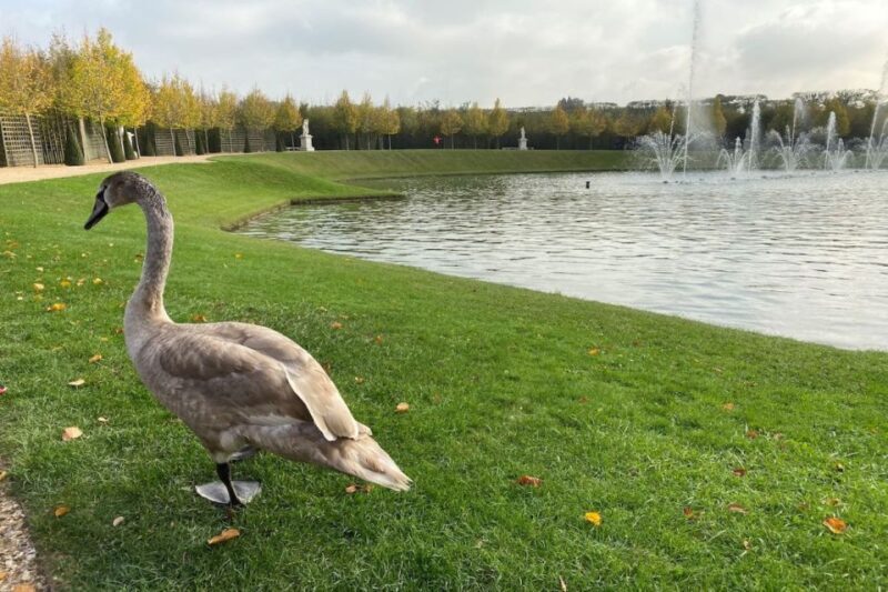 Versailles: Royal Palace & Gardens Private Golf Cart Tour - The Sum Up