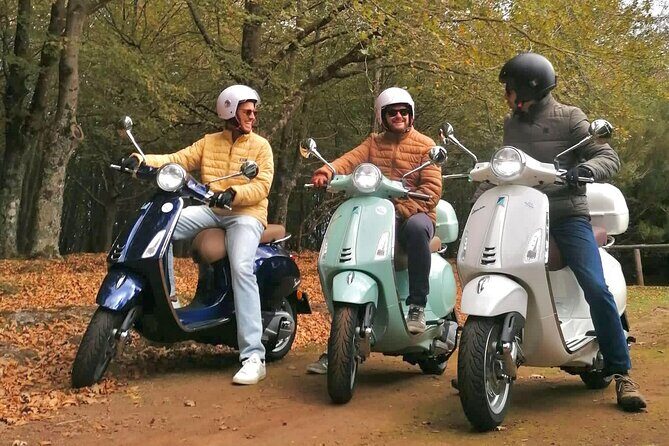 Vespa Primavera 24 Hour Rental in Madeira - Key Points