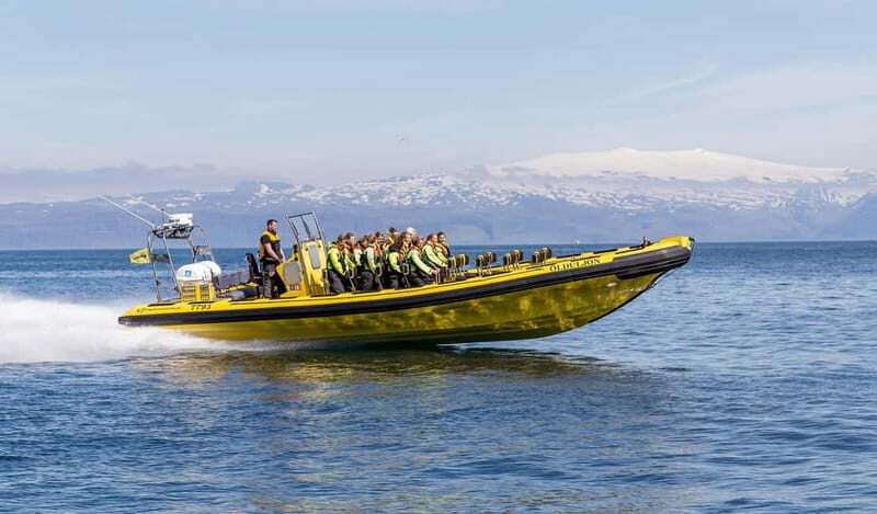 Vestmannaeyjar: 2 hour RIB boat Tour - Why This Tour Is Worth It