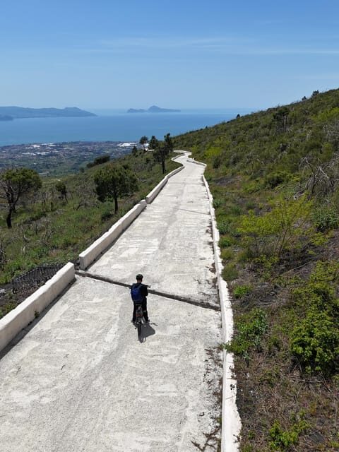Vesuvio Bike Tour: Summit Ride and Entrance Ticket - Key Points