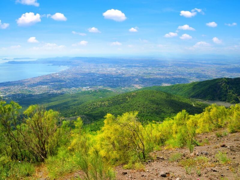 Vesuvio easy tour from Naples or Pompeii - The Practicalities of the Tour