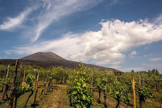 Vesuvio Gran cono + Wine Tasting & Lunch + Transfer from Naples - A Close-Up Look at Vesuvio Gran Cono + Wine Tasting & Lunch + Transfer from Naples