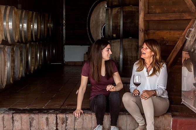 Vesuvio Gran cono + Wine Tasting & Lunch + Transfer from Naples - Who This Tour Is Best For
