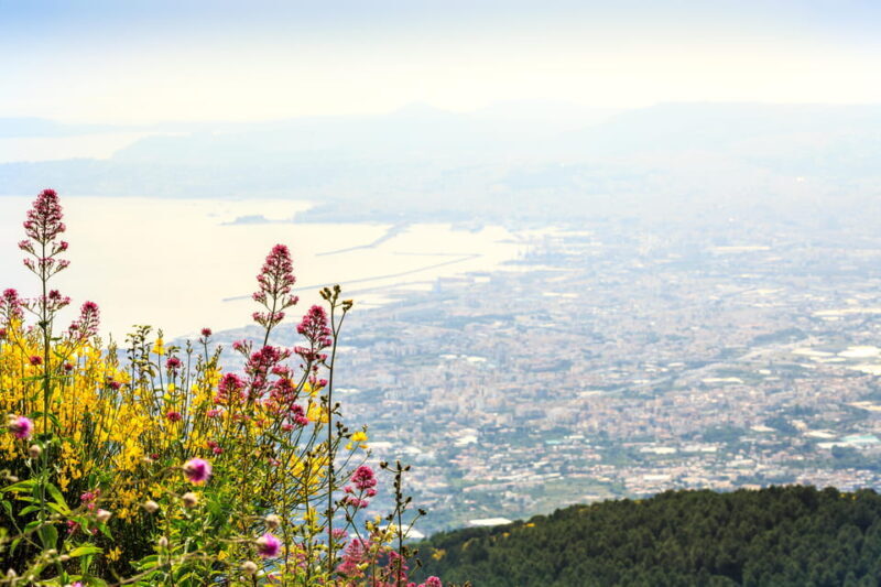 Vesuvio Skip The Line Ticket With Digital Audioguide - Key Points