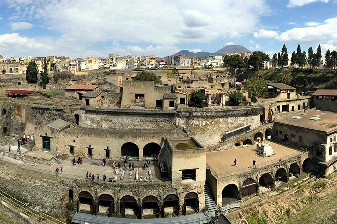 Vesuvius and Herculaneum Day Trip from Naples with skip the line - Who Would Love This Tour?