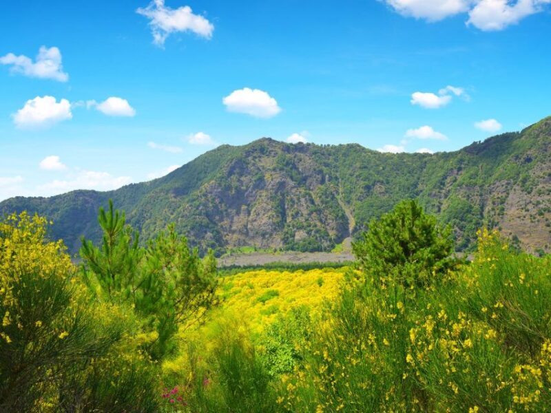 Vesuvius easy Transfer - A Detailed Look at the Vesuvius Easy Transfer