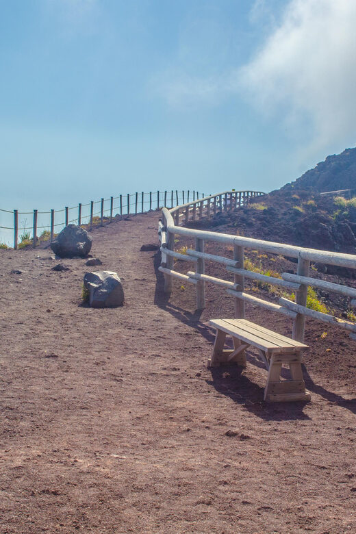 Vesuvius National Park Skip-The-Line Ticket and Audio Guide - Key Points