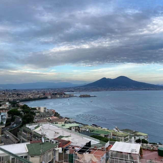 Vesuvius Park Skip-the-Line Ticket + support - Key Points