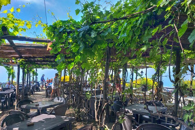 Vesuvius & Vineyard select from Sorrento - The Bottom Line