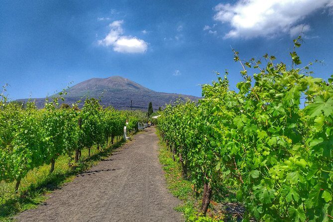 Vesuvius & Vineyard select from Sorrento - Frequently Asked Questions