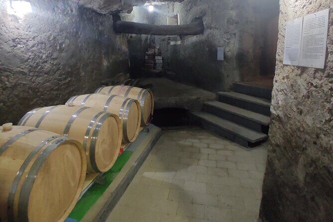 Vesuvius wine tasting with company tour - A Wine Tasting Adventure on Mount Vesuvius
