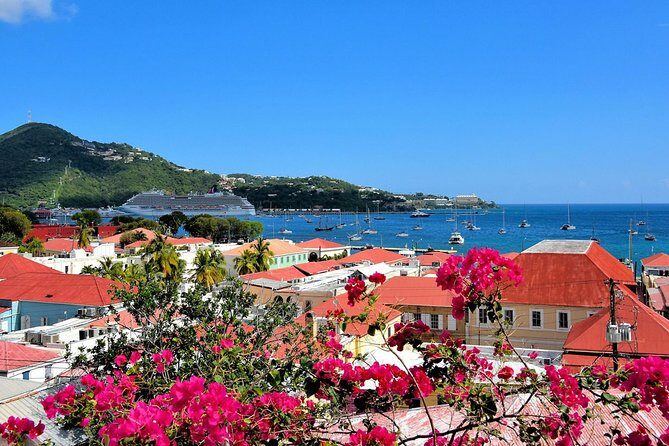 Vi Top Taxi &Tours USVI-St Thomas Private Group-Island Tour - FAQ