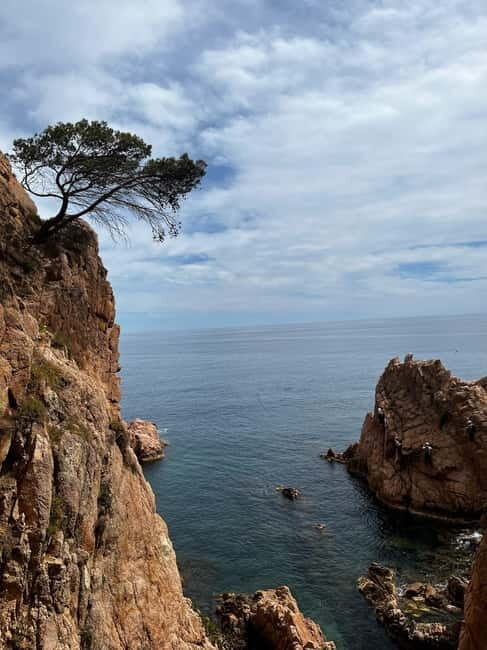 Via Ferrata Adventure in Costa Brava + Transport - Discovering the Coastline from a New Perspective