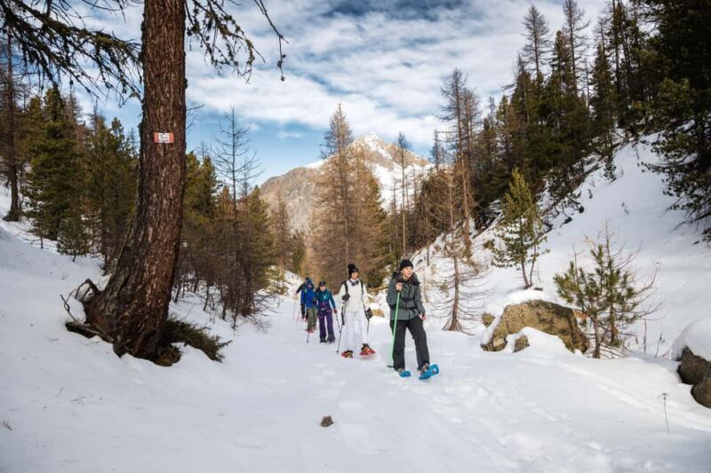 Vialattea: Snowshoeing in the Snowy Forest - Exploring the Experience in Depth