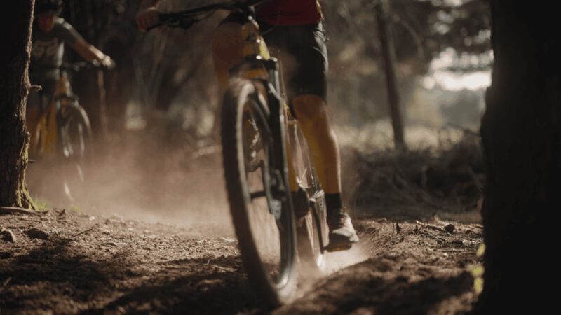 Viana do Castelo: e-mountain bike rental for adventures in nature and culture - Final Thoughts