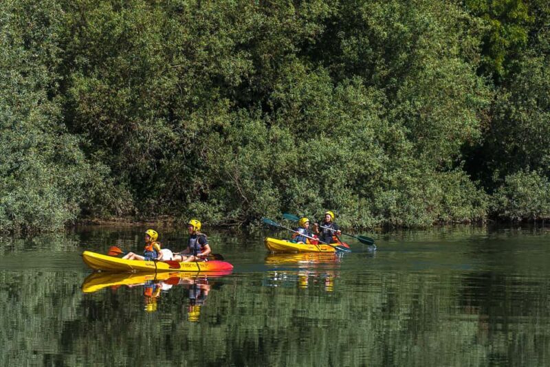 Viana do Castelo: Kayak Adventure on the Lima River - An In-Depth Look at the Kayak Adventure Experience