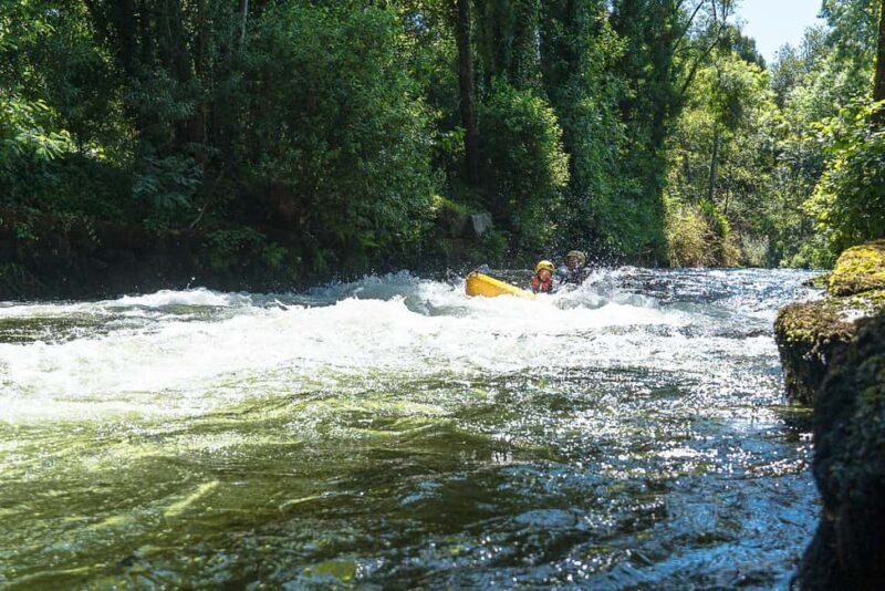 Viana do Castelo: Kayak Adventure on the Lima River - Final Thoughts: The Value of a River Paddle in Portugal
