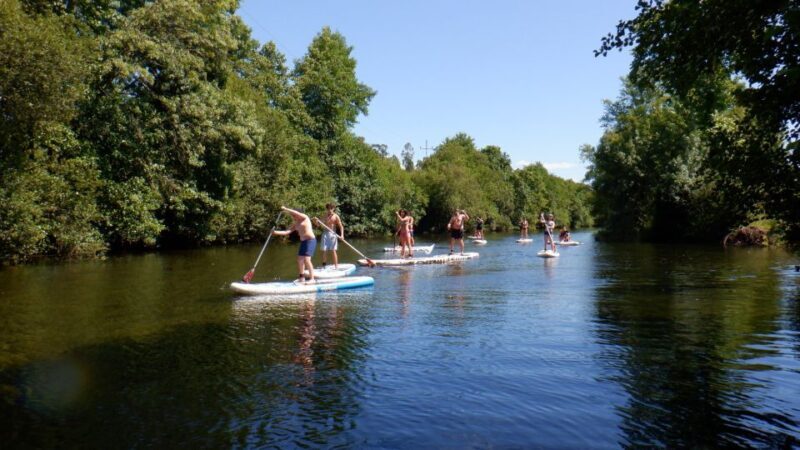 Viana do Castelo: Vez River SUP with Transfer Options - Viana do Castelo: Vez River SUP with Transfer Options — A Detailed Review
