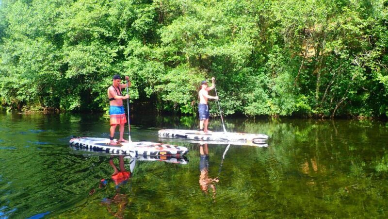 Viana do Castelo: Vez River SUP with Transfer Options - Who This Tour Is Best For