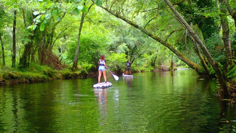 Viana do Castelo: Vez River SUP with Transfer Options - Frequently Asked Questions