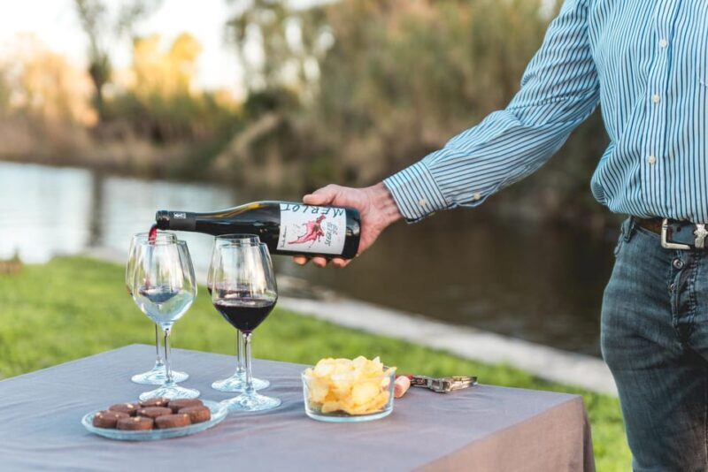 Viareggio: Marshes Electric Boat Tour with Wine Tasting - Discover the Marshes of Tuscany: Electric Boat Tour with Wine Tasting in Viareggio