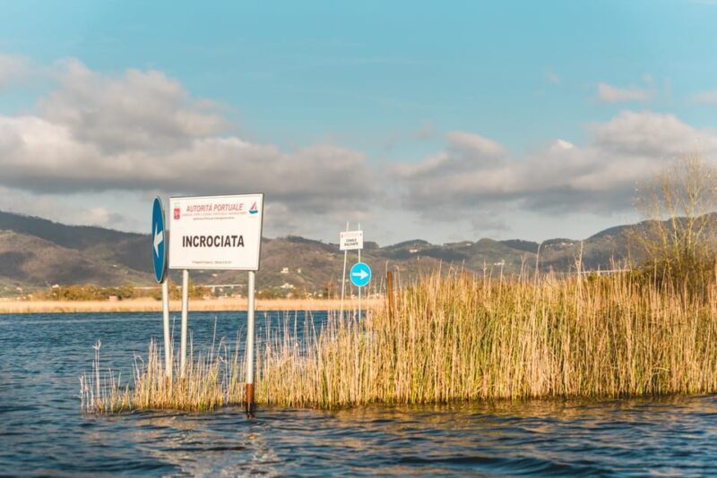 Viareggio: Marshes Electric Boat Tour with Wine Tasting - Deep Dive into the Itinerary