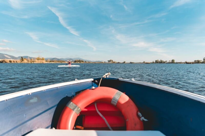Viareggio: Marshes Electric Boat Tour with Wine Tasting - Why This Tour Offers Great Value