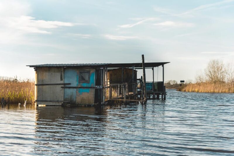 Viareggio: Marshes Electric Boat Tour with Wine Tasting - Who Should Book This Experience?