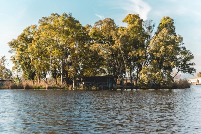 Viareggio: Marshes Electric Boat Tour with Wine Tasting - Frequently Asked Questions