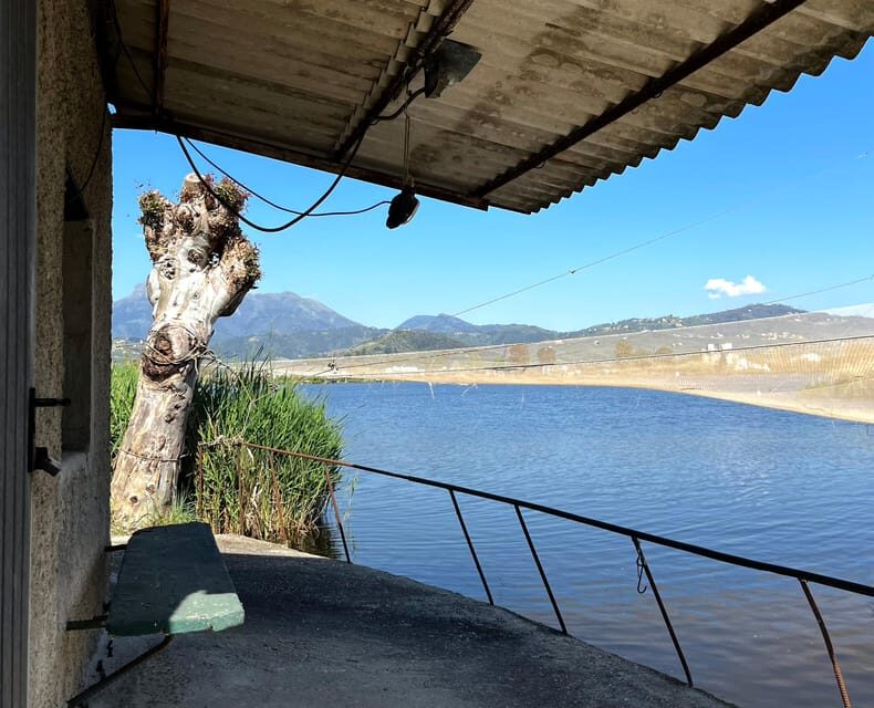Viareggio: Natural Reserve Sunset Canoe Tour with Aperitif - Practical Details & Tips