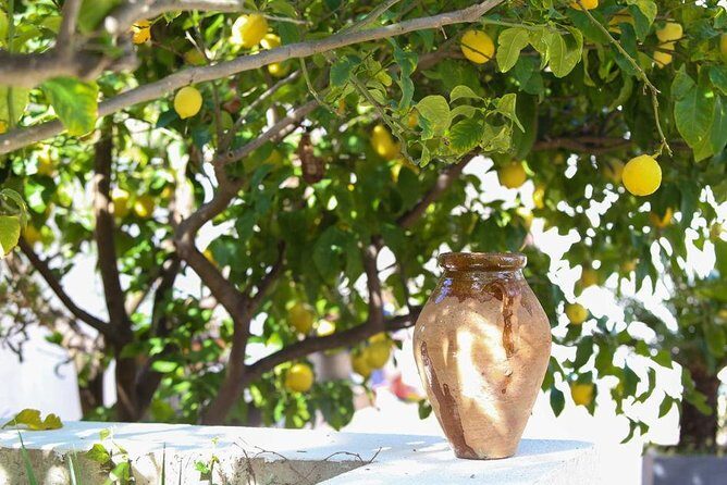 Viator Exclusive: Local Cooking Class & Dinner with View of Nice - The Sum Up