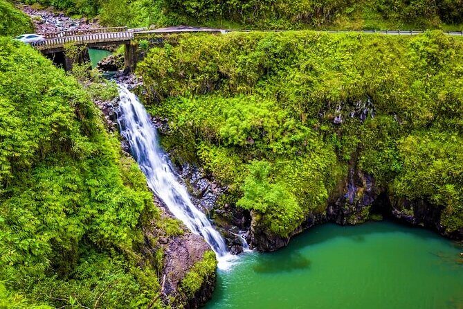 Viator Exclusive: Maui Tropical Rainforest Small Group Tour - Who Will Love This Tour?