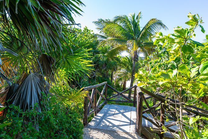 Viator Exclusive: Tulum Ruins, Reef Snorkeling, Cenote and Caves - The Sum Up