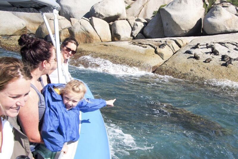 Victor Harbor: Seal Island Cruise - Why This Tour Offers Great Value
