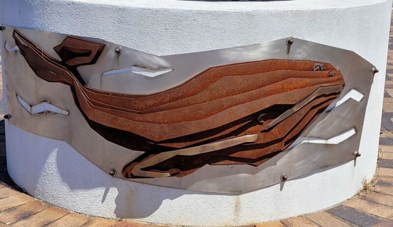 Victor Harbor: Shipwrecks & Settlers Walking Tour - A Detailed Look at the Victor Harbor: Shipwrecks & Settlers Walking Tour