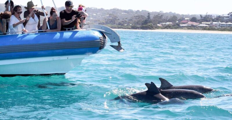 Victor Harbor: Southern Ocean Adventure Cruise with Guide - The Sum Up: Who Will Love This Cruise?