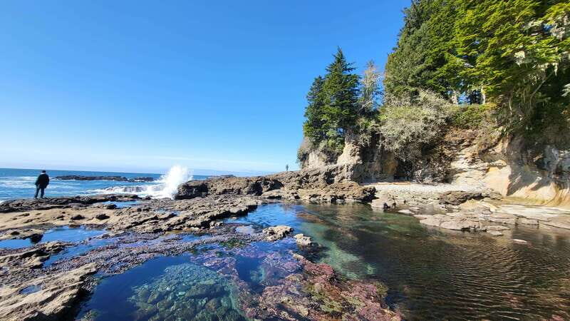 Victoria: 4-Day Tofino and Port Renfrew Tour with Flights - Who Will Love This Tour?