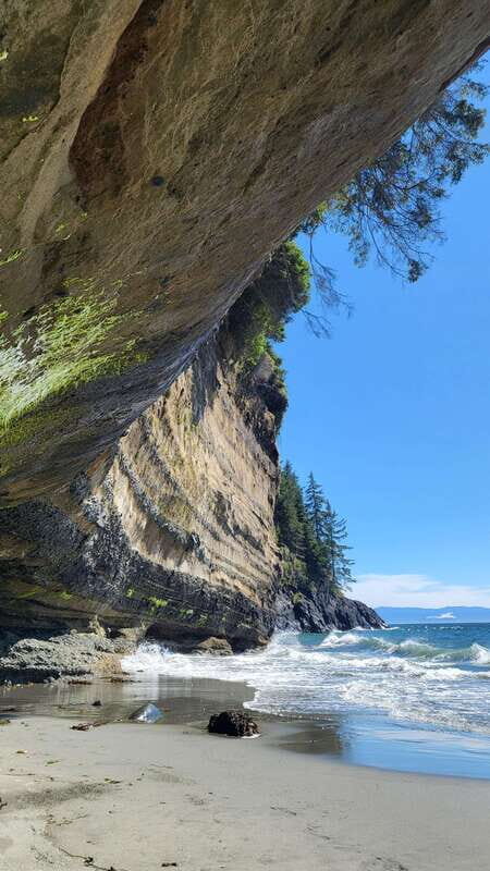 Victoria: 4-Day Tofino and Port Renfrew Tour with Flights - Final Thoughts