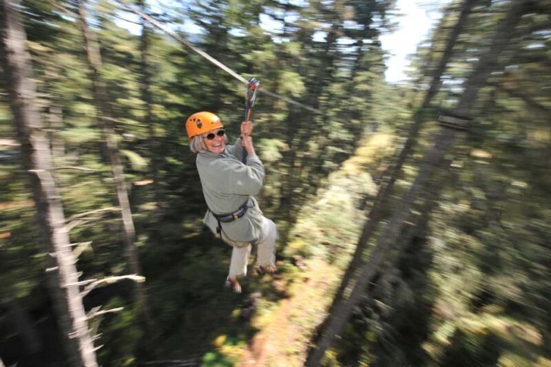 Victoria: 8 Zipline Guided Tour + Suspension Bridge - A Detailed Look at the Zipline and Suspension Bridge Adventure