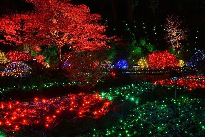 Victoria and Butchart Gardens Christmas Tour - A Detailed Breakdown of the Tour Experience